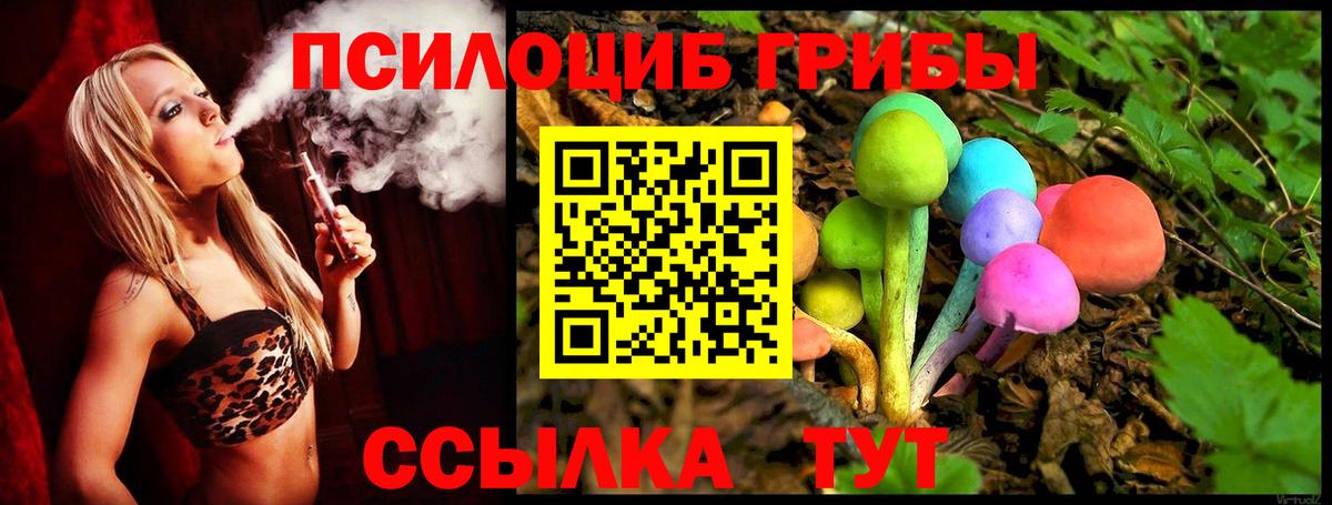 Псилоцибиновые грибы прущие грибы Барабинск